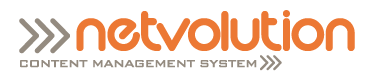 Netvolution-logo.gif