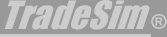 Logo-compuvision-com-au.gif