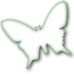 Logo-villapapillonblanc-com.gif