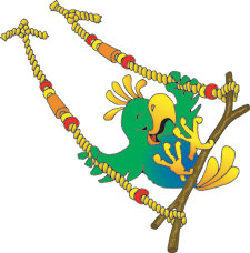 Parrotperch small.jpg