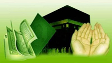 Logo-bizle-org.jpg