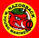 Logo-theyoungmarines-com.gif