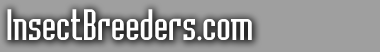 Logo-insectbreeders-com.gif