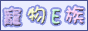 Logo-cwyz-com.gif