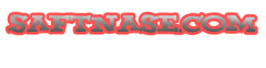 Logo-saftnase-com.png