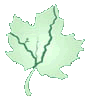 Logo-chaplinct-org.gif