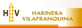 Logo-hvsa-es.jpg
