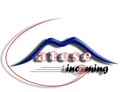 Logo-mateseincoming-it.jpg