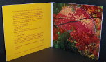 SoftPack-Inside-150.jpg