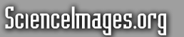 Logo-scienceimages-org.gif