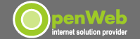 Logo-openweb-be.png