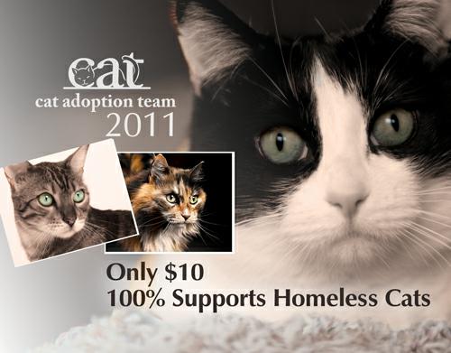 File:CatAdoptionTeam2011Calendar.jpg