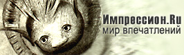 Logo-impression-ru.jpg