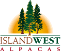 Logo-islandwestalpacas-com.gif