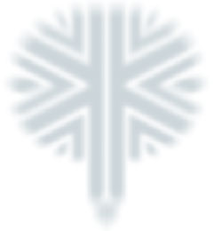 Logo-vromangraves-com.jpg