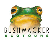 Logo-bushwacker-ecotours-com-au.gif