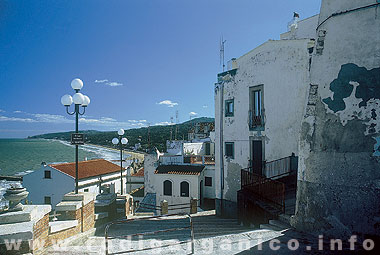 Gargano05.jpg