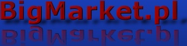 Logo-bigmarket-pl.jpg