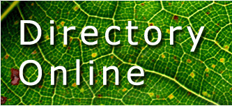 Logo-dirsonline-com.gif