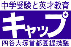 Logo-trycap-com.gif