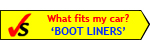 Logo-bootliners-info.jpg
