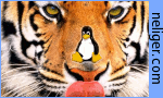 Logo-neliger-com.png