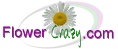 Logo-flowercrazy-com.gif