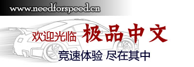 Logo-needforspeed-cn.jpg