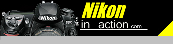 Logo-nikoninaction-com.jpg