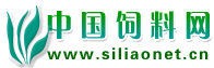 Logo-siliaonet-cn.gif