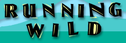 Logo-werunwild-com.gif