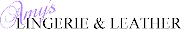 Logo-amyslingerie-com.jpg