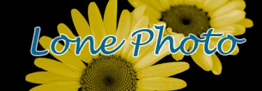 Logo-lonephoto-com.jpg