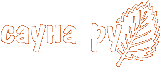 Logo-stroysauna-com.gif