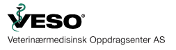 Logo-veso-no.gif
