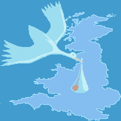 Logo-birthchoiceuk-com.gif