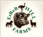Logo-errer-com.jpg