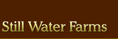 Logo-stillwaterfarmva-com.gif