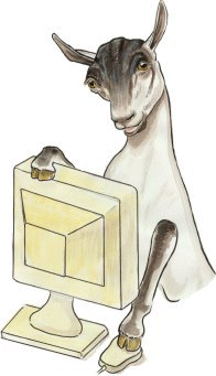Logo-webnanny-net.gif