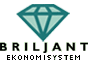 Logo-briljant-se.gif