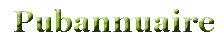 Logo-pubannuaire-com.gif