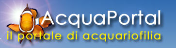 Logo-acquaportal-it.jpg