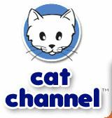 Logo-catchannel-com.jpg