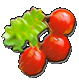 Logo-cranberryunit-org-uk.gif