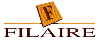 Logo-filaire-sa-com.gif