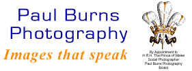 Logo-paulburns-co-uk.gif