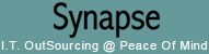 Logo-synapse-in.gif
