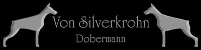 Logo-silverkrohn-no.jpg