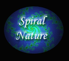 Logo-spiralnature-com.gif