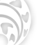 Logo-experienceevolution-com.gif